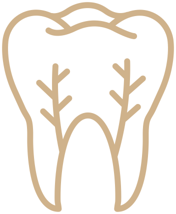 Emergency dentistry icon: tooth with nerve roots